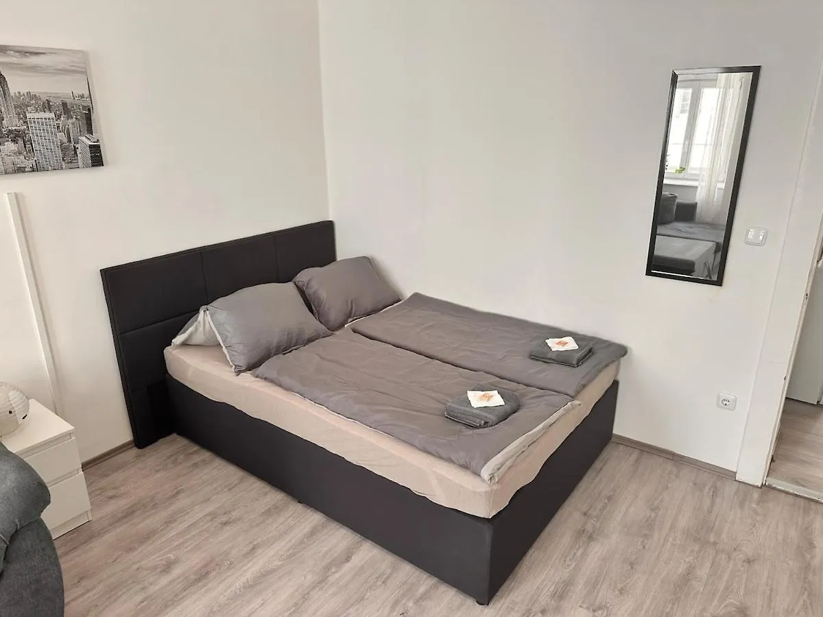 Spacious Netflix Apartment For Up To 4 People With Massage Shower Vienna