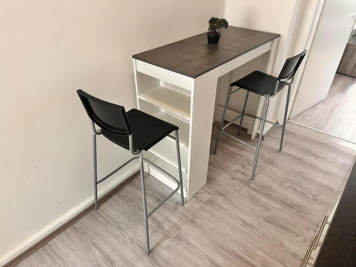 Spacious Netflix Apartment For Up To 4 People With Massage Shower Vienna