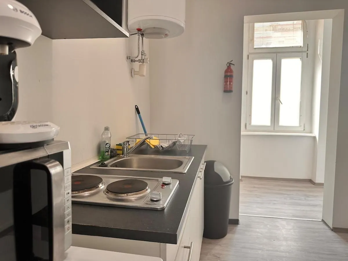 Spacious Netflix Apartment For Up To 4 People With Massage Shower Vienna