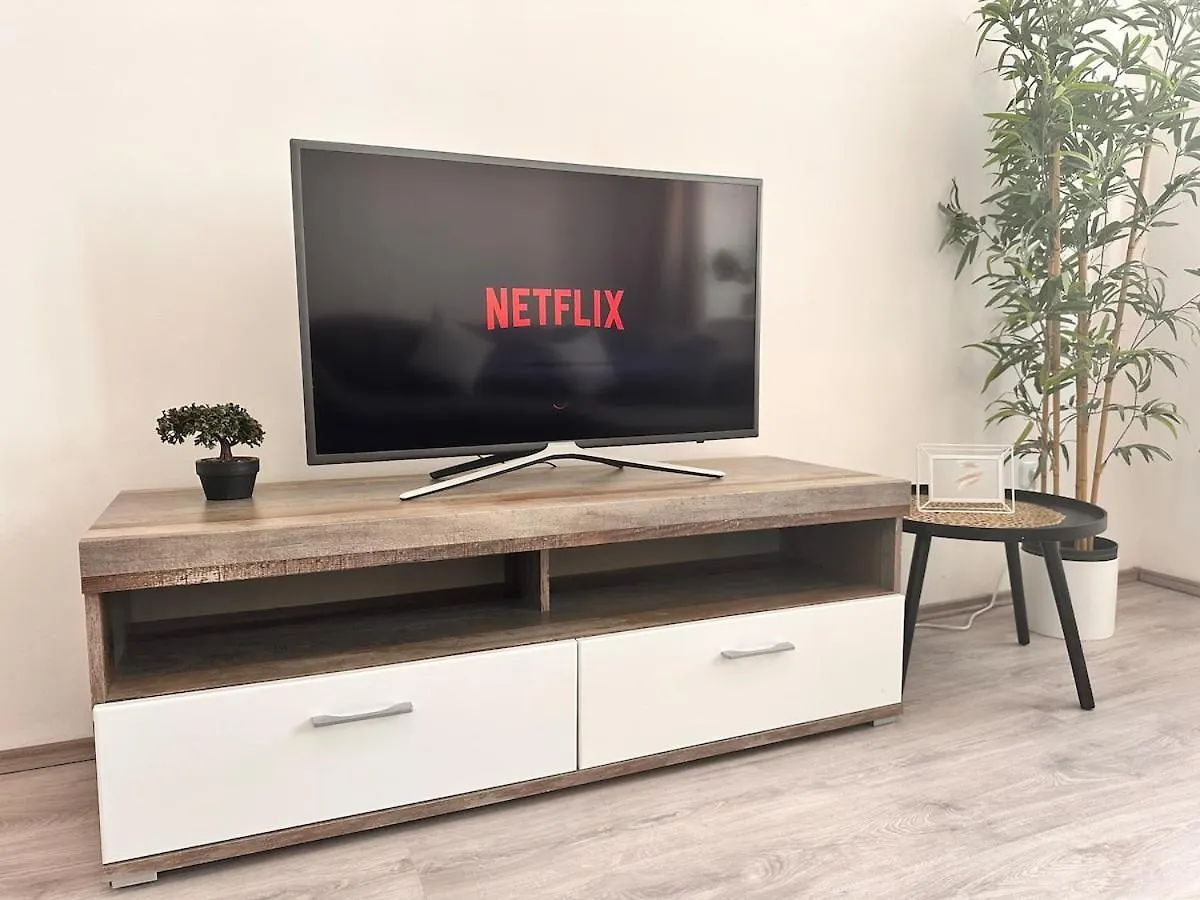 Spacious Netflix Apartment For Up To 4 People With Massage Shower Vienna