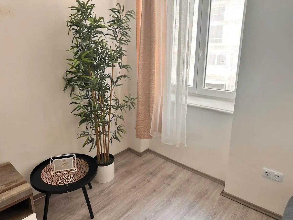 Spacious Netflix Apartment For Up To 4 People With Massage Shower Vienna 0*,